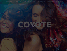 Tablet Screenshot of coyote.com.py